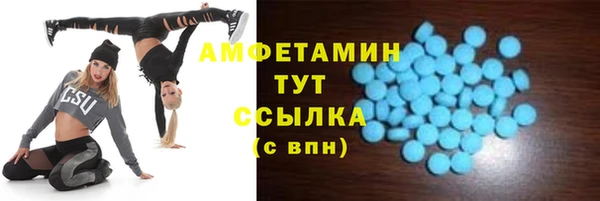 шишки Белоозёрский