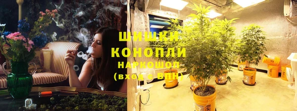 шишки Белоозёрский