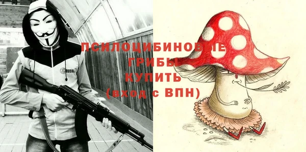 МДПВ Бердск