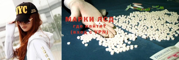 шишки Белоозёрский