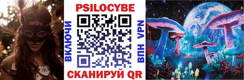 Галлюциногенные грибы Cubensis  что такое   Большой Камень 