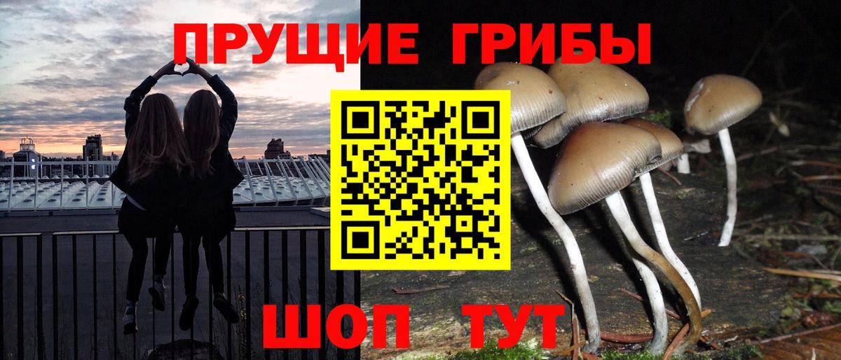 Галлюциногенные грибы мухоморы Большой Камень