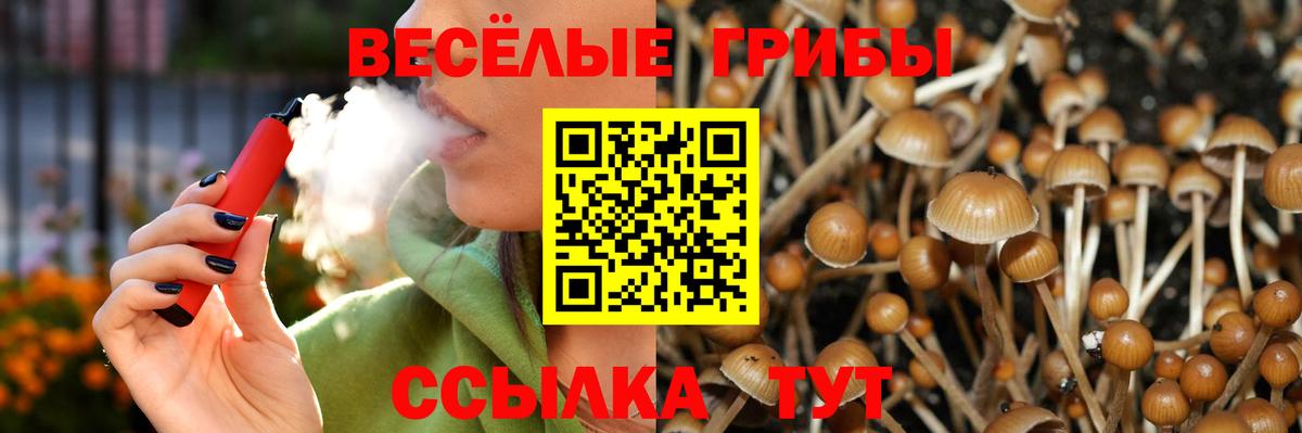 Псилоцибиновые грибы ЛСД  Псилоцибиновые грибы Magic Shrooms  Вход с VPN  Большой Камень 